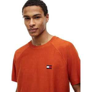 Tommy Hilfiger Flag Elevated Tee